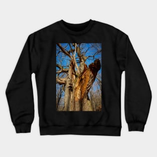 Huge oak tree Crewneck Sweatshirt